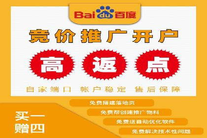 SEO策略在电商平台的成功应用案例